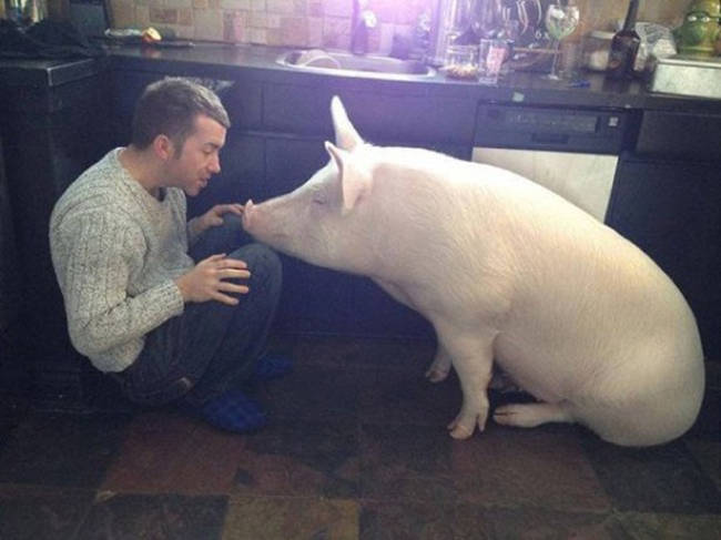 He's probably explaining to her how cute she looks.