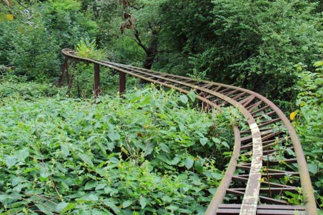 The city of Berlin officially purchased the remains of Spreepark in March 2014.