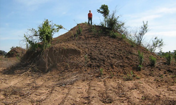 15.) Largest Anthills in Holystone, Northumberland, United Kingdom: These northern wood ant hills are the biggest ever recorded. They can measure up to 7 feet tall and house an estimated 500,000 insects.