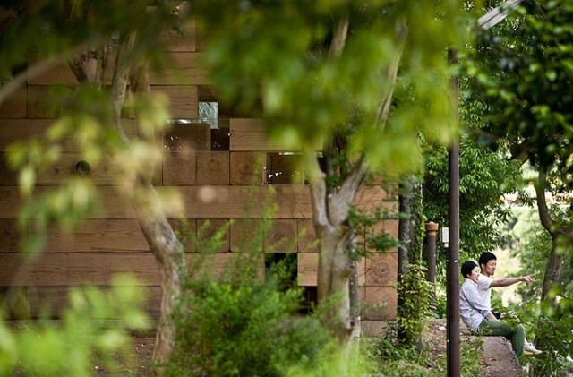 A wooden cube house appears in the wild.