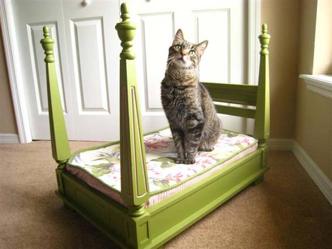 If your pet is a diva, this elegant bed is perfect for them.