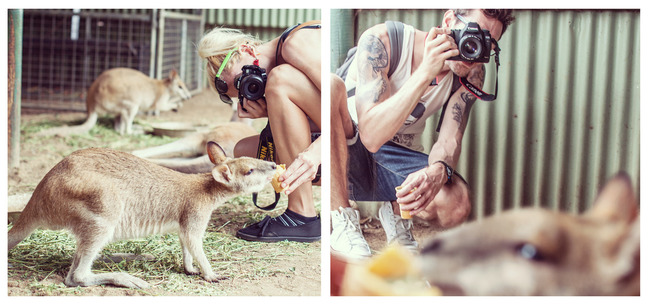 4. Featherdale Wildlife Park, Australia