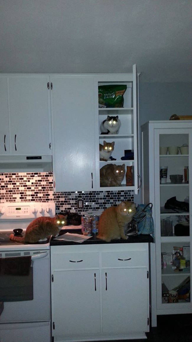 "We were just making sure the food was still there."