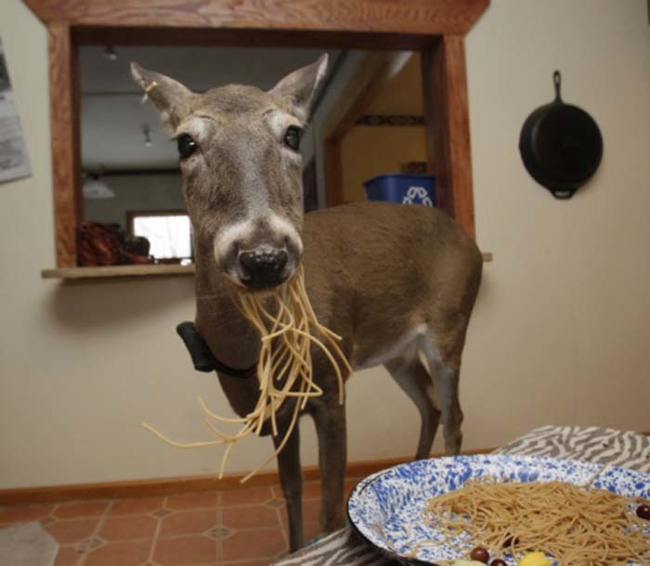 Did we mention she loves spaghetti?