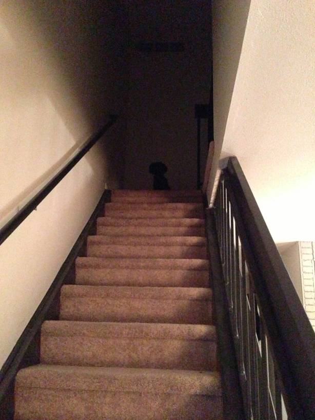 In darkness, he waits for the perfect moment to execute The Plan.