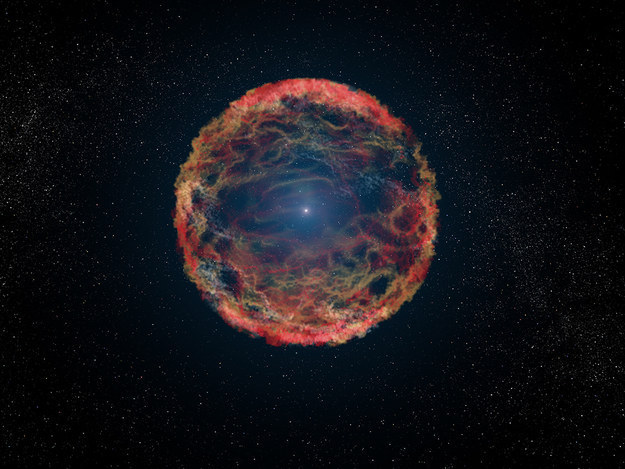 There's a star trapped in the glare of a supernova for the past 21 years. Given that the supernova is 11 million light years away though, it's pretty old news.