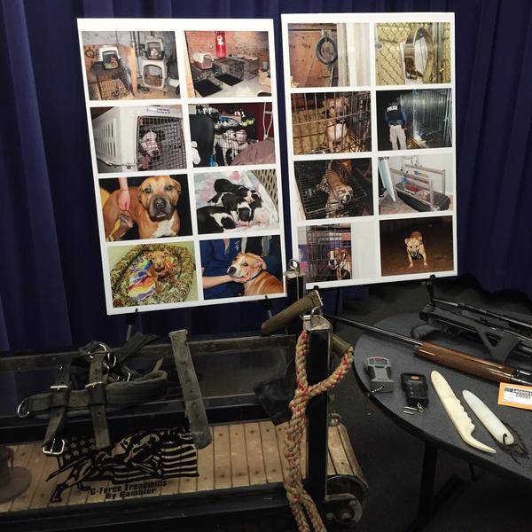 When police arrived on the two separate scenes in West Virginia and Maryland, they confiscated a huge amount of evidence, including weapons, steroids, weighted training collars, and chains.