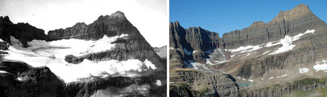 Shepard Glacier