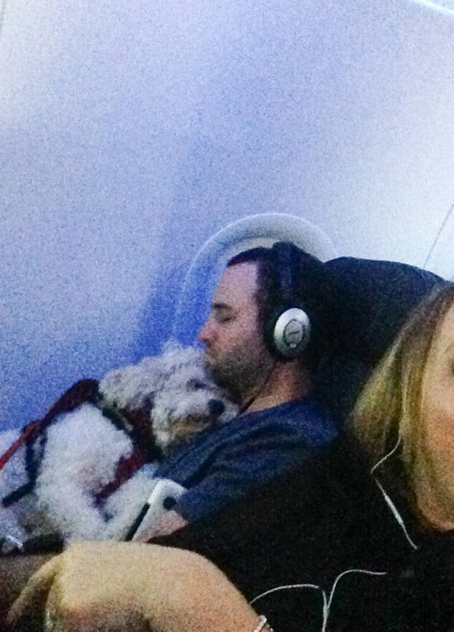 No need for a neck pillow when you have a cuddle buddy.