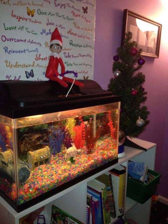 Always make sure to keep the elves on the shelf and away from the fish tank.