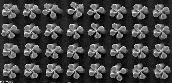 Michael De Volder: Carbon Nanotube Clover Field