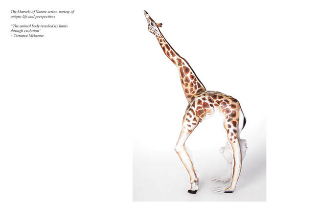 Giraffe