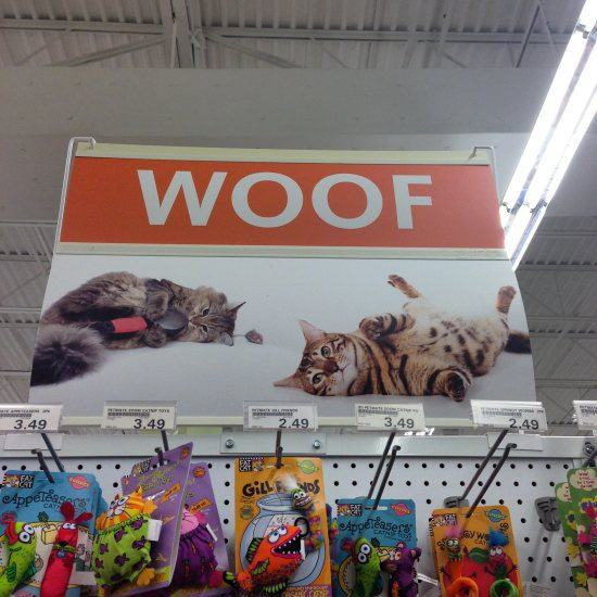 17.) This store is speaking kitty wrong.