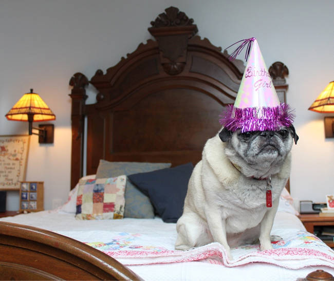 "I'll wear the hat, but don't make me get out of bed."