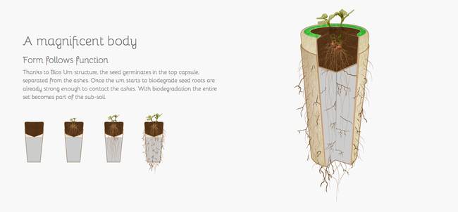 How the Bios Urn works. This takes going back to nature to a whole different level.