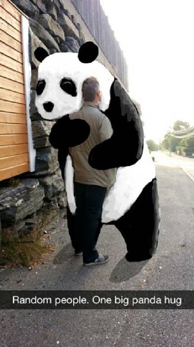 Panda Bear Hug