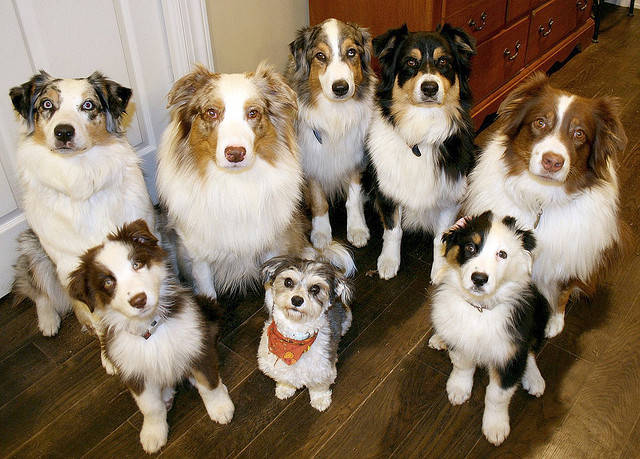 "You just fed us dinner, but, uh, more please?"