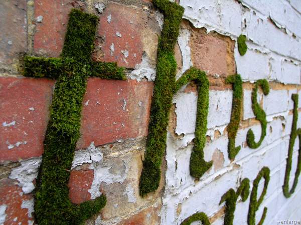 2) Moss Designs For Your Brick Interior: <a href="https://www.instructables.com/id/Moss-Graffiti/">Full Instructions</a>.