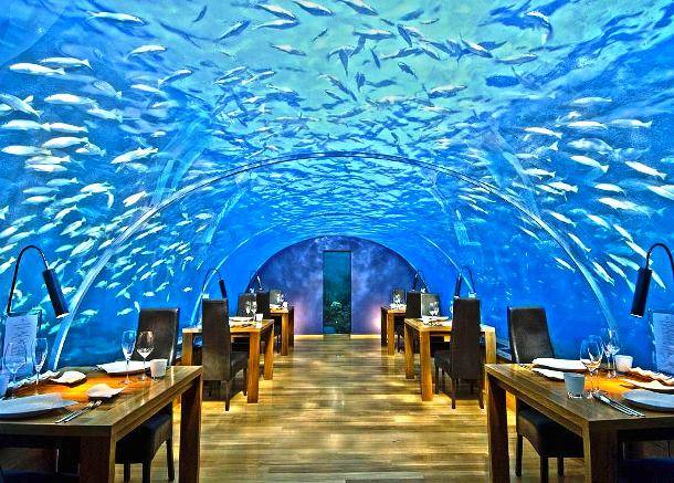 1.) Eating with the fishes.