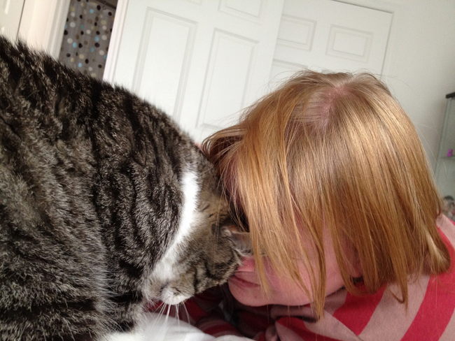 Your cat headbutting you is its way of making a safe space and letting you know they trust you.