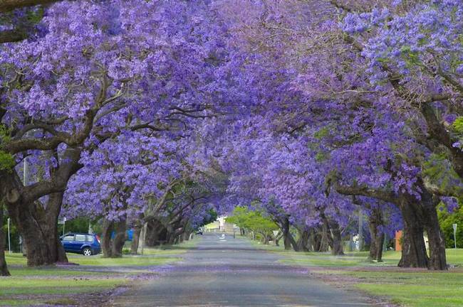 Grafton, Australia