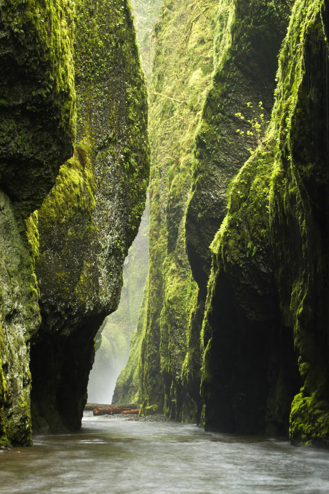 21.) Oneonta Gorge, Columbia River Gorge, Oregon