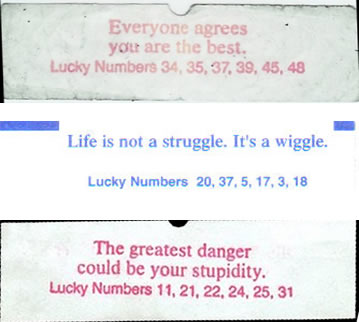 11.) Fortune Cookie Fortunes