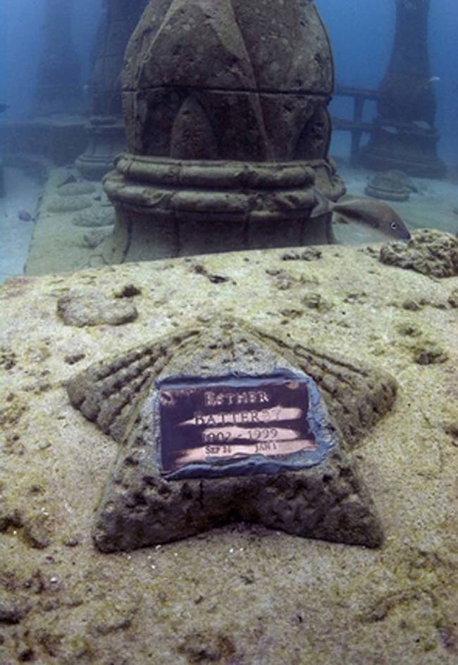 The cremated remains bring vital nutrients and help oxygenate the water around the Memorial, which in time will promote the development of a full scale reef.