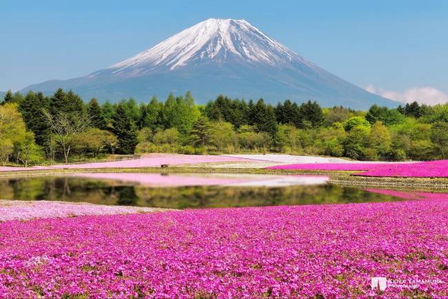 Hitsujiyama Park, Japan