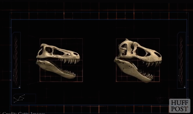 Measurements of the cranium, when compared with a contemporary, determine average intelligence.