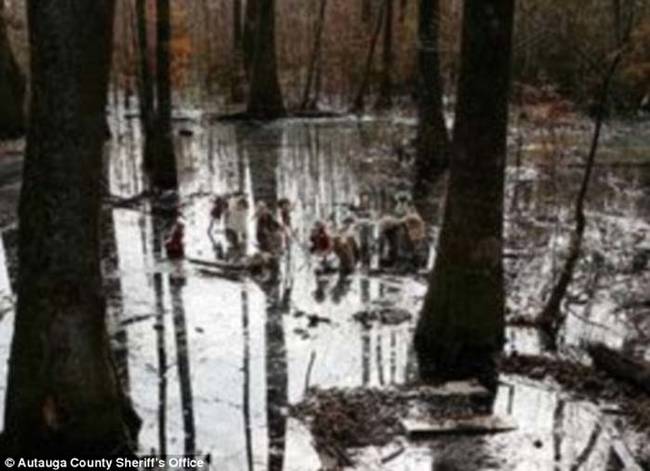 The dolls were already in the swamp for a while by the time police removed them. "I noticed the dolls several weeks ago while driving through the swamp working on a stolen vehicle report," said Chief Deputy Joe Sedinger. "I just thought they were a Halloween prank, and really didn't give it much thought after that."