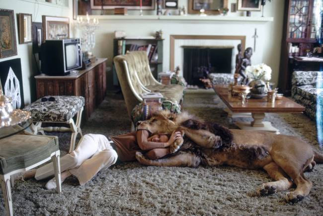 Tippi wrestles Neil in the living room.