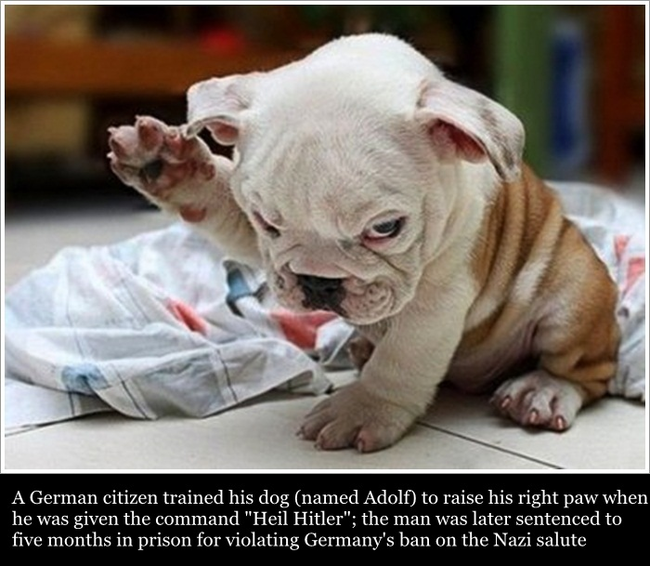 11.) "Heil Hitler" Salute