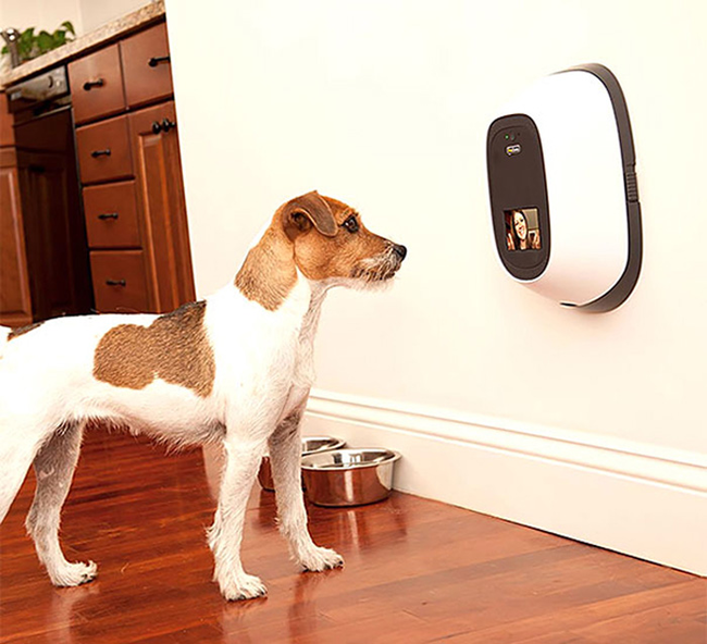 <a href="https://www.awesomeinventions.com/shop/pet-videophone/" target="_blank">Pet Videophone</a>