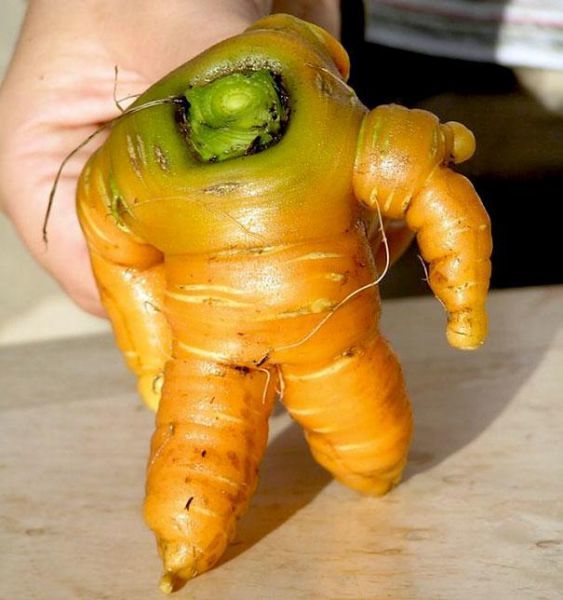 5. It's like half carrot, half Stay Puft Marshmallow Man!