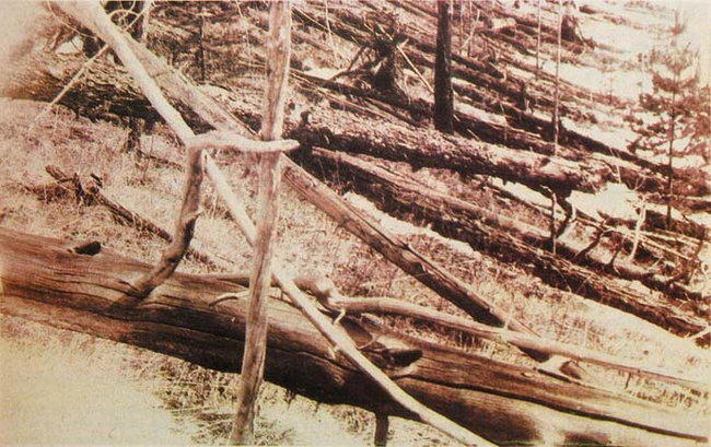 4.) Tunguska.