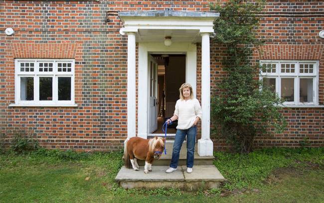 Acer lives with Maureen at her miniature horse farm in Essex.