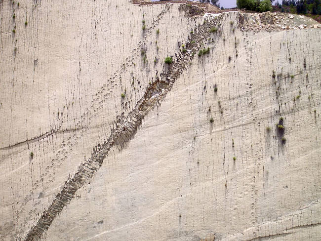 Also known as the "Dinosaur Dance Floor," because the irregular tracks left by the dinos suggest they weren't simply walking across the plain.