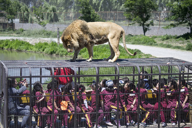 It's the perfect field trip for students like these to learn about wildlife.