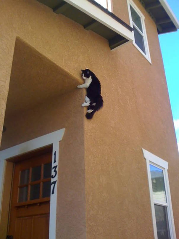 Well, what did you <i>think</i>would happen when you built your house out of cork board?