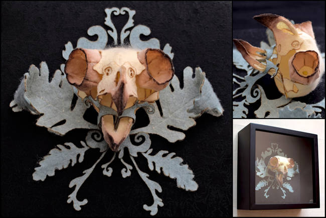 Mounted Bird Skull