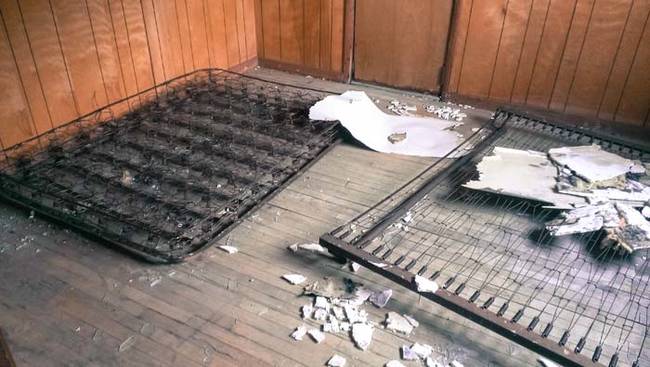 In the other room were the remnants of two mattresses. These metal skeletons are all that's left after years of neglect.