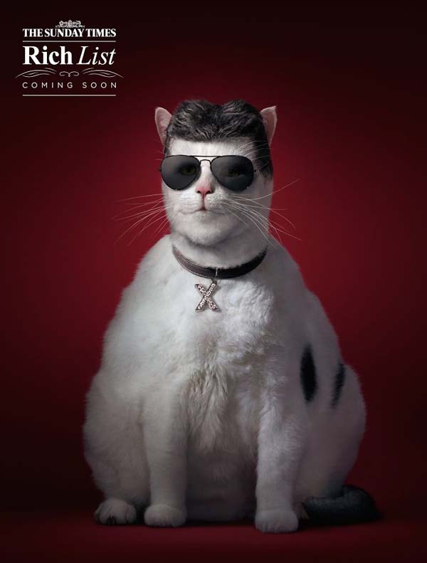 8.) This cat is Simon Cowell's twin.