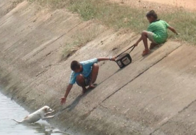 3.) Two boys work together to save a puppy.