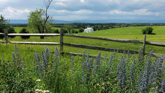 10.) Want to see the English countryside? Just go to Shenandoah Valley, Virginia.