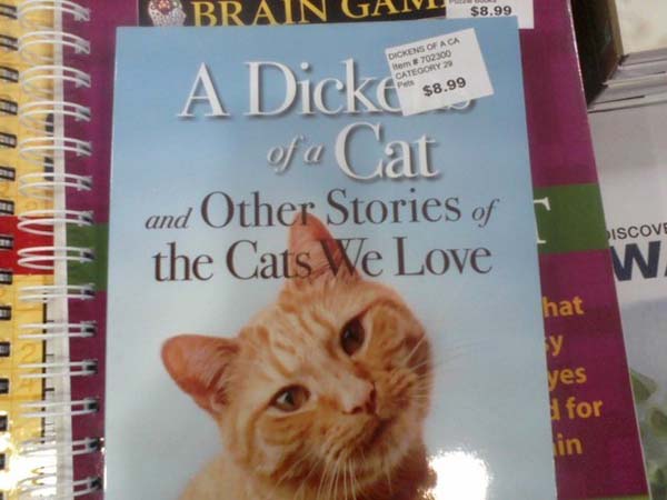 25.) It really says: A Dickens Of A Cat.