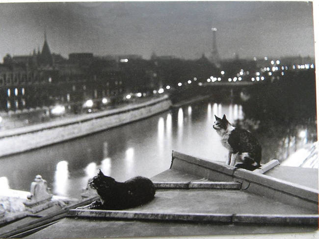 Soaking in the city of lights from a Paris rooftop.