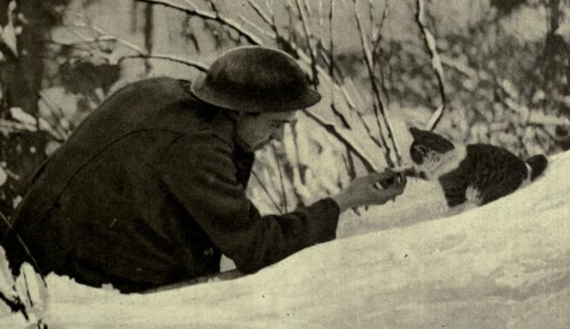 16.) A British soldier forming a pact with their mascot.