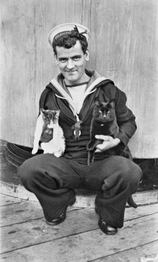 15.) A sailor from the <em>HMAS Melbourne</em> holding two ship's cats.