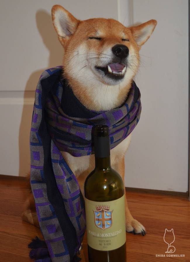 "I'm dreaming of drinking this wine all over again!"